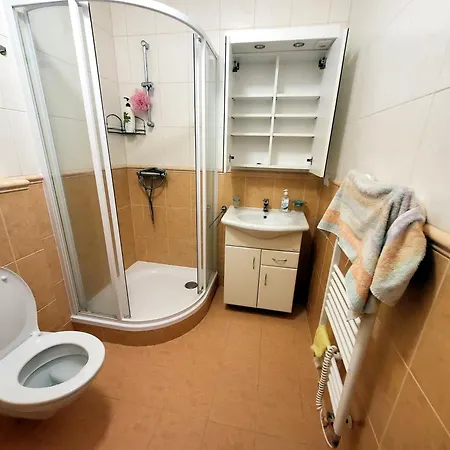 Sruby - Horni Dum Apartment Spicak